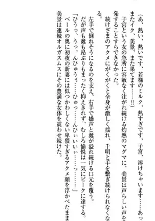 年上メイドの新婚日記