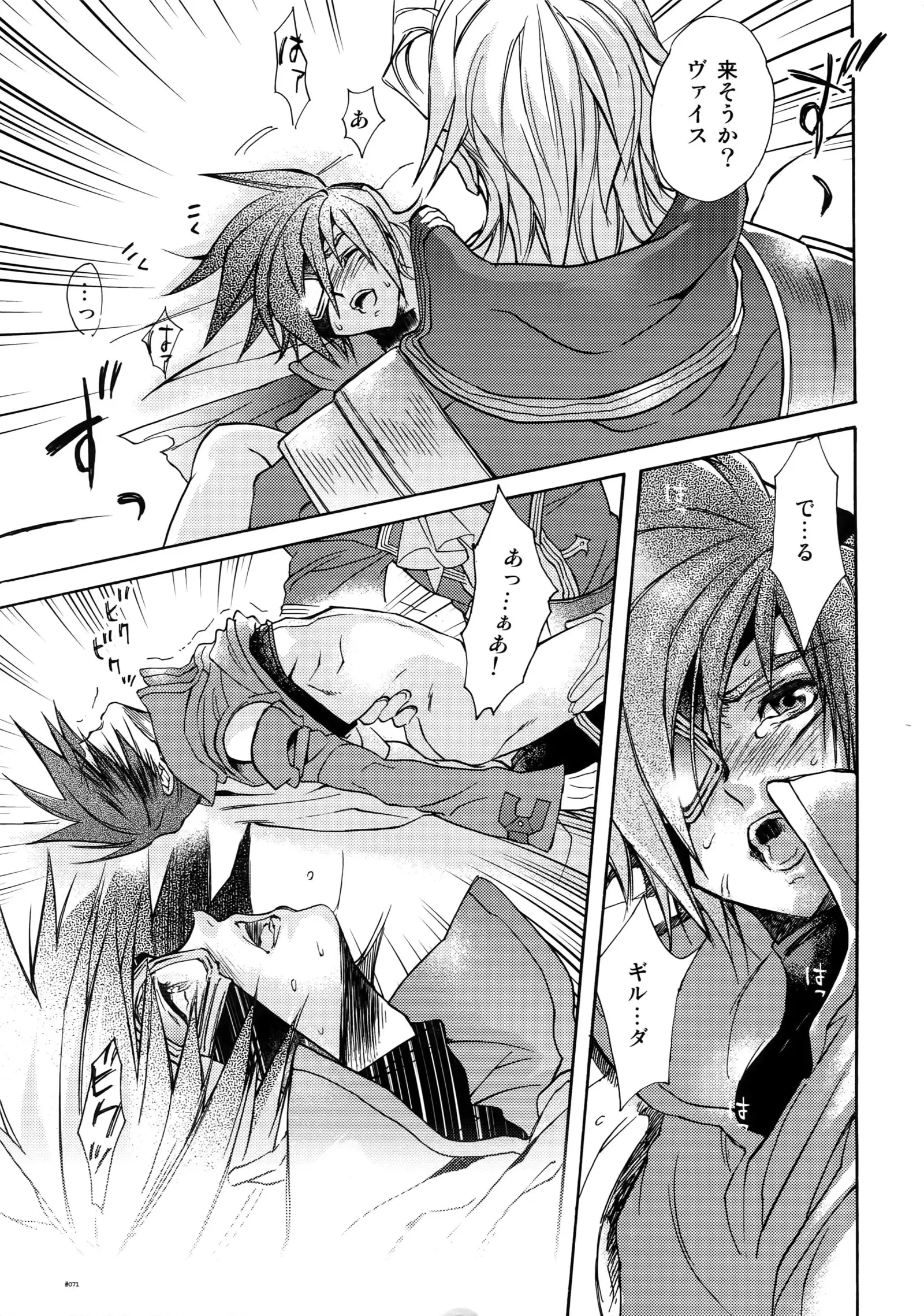 Anthurium.EA01 Shinsouban