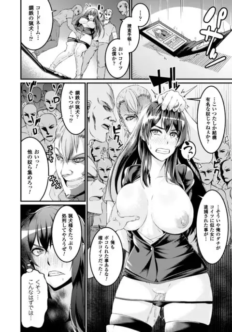 Seigi no Heroine Kangoku File Vol. 10