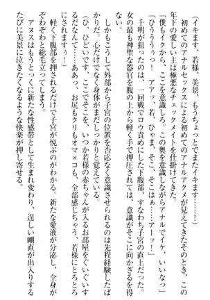 年上メイドの新婚日記