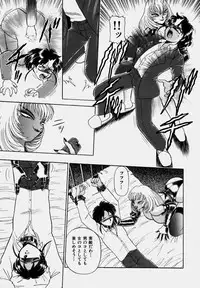 [Wing Bird] Tsumapp x Tsumapp