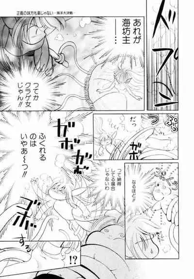 [Hikaru Nagareboshi] Seigi No Mikata Mo Raku Zya Nai