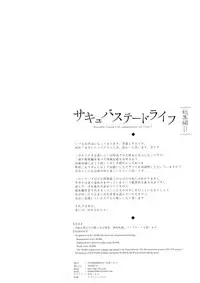 Succubus Stayed Life Soushuuhen II