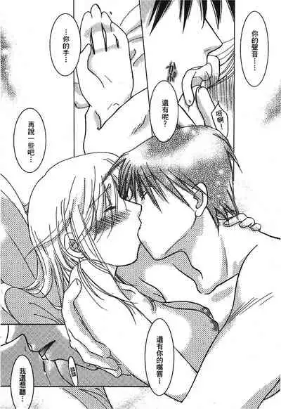 Fullmetal Alchemist 6