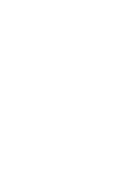 (Zenkuu no Chou Hasha 2019) [JIEITAI (Ketsudrum)] Dead Heat Heartbeat (Granblue Fantasy)