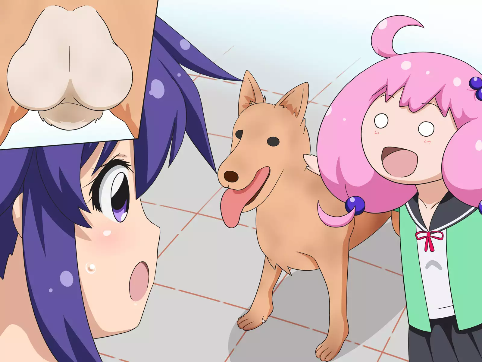 Dog F*ck Sensaaaation!