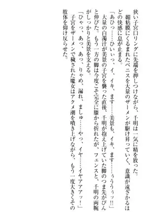 年上メイドの新婚日記