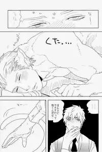 (C83) [MORBID+LOVERS (Show)] EROTICS (Hetalia: Axis Powers)