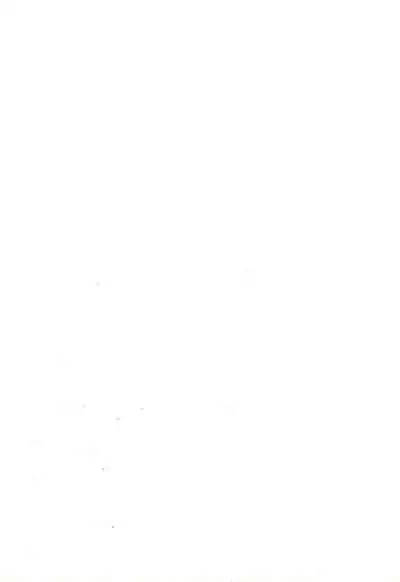 Mikogami Shoujo Tanteidan