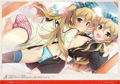 Tincle Twinkle Festival! Visual fan book "TINFESTAR!!"