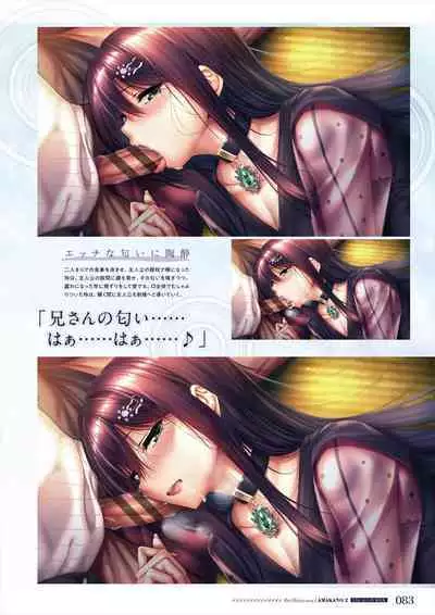 Amakano 2 Visual Fan Book