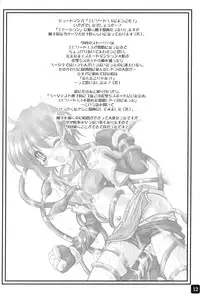 [HYPER BRAND (Ishihara Masumi)] Operation RAGNAROK CUTIE CHASER (Ragnarok Online)