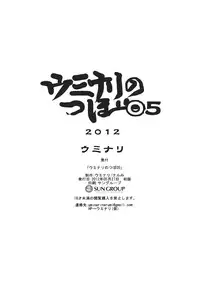 (Reitaisai 9) [Uminari (Narumi)] Uminari no Tsubo 05 (Touhou Project)