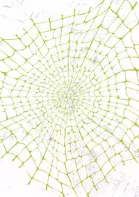 [Anthology] Pink Gold 5