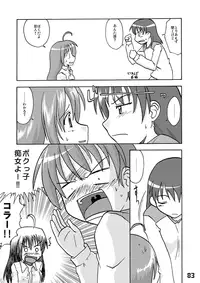 CompositionMIX 2006-2007