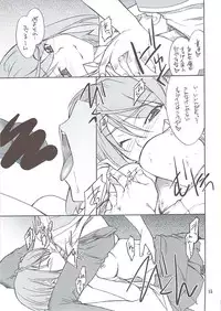 (C73) [P-FOREST (Hozumi Takashi)] Mai Ijiri (Mai Hime)