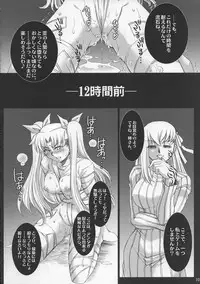(COMIC1☆2) [H.B (B-RIVER)] Red Degeneration -DAY/3- (Fate/stay night)