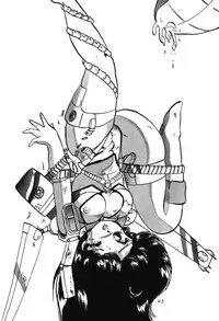 [Ashanti] RABBIT CARNIUAI (Dirty Pair)