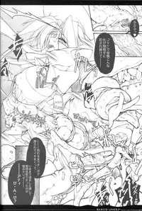 (C70) [Synthetic Garden (Miwa Yoshikazu)] Rancid Lovers #2 (Summon Night 3)