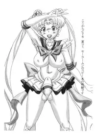 Namanekotei - Mahou Shojou Ai and Sailormoon (Copybook)