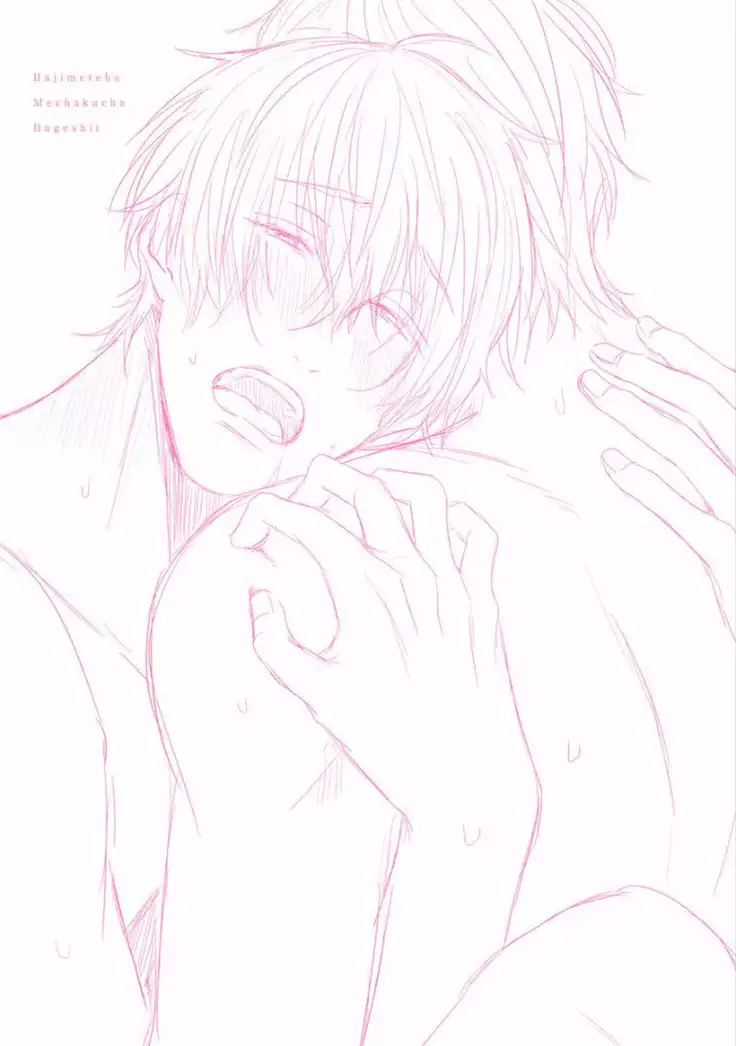 Hajimete wa Mechakucha Hageshii