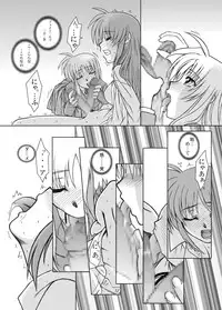 [Fresnel Lens (Hirano Kana)] 19→o3 VerF (Mahou Shoujo Lyrical Nanoha) [Digital]