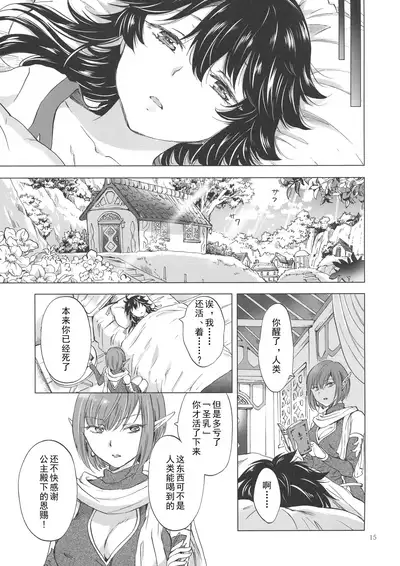 Seinaru Chichi no Elf Hime