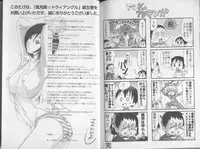 [Sano Takayoshi] Kazamidori Triangle 5