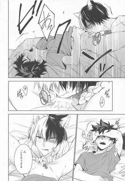 Pet-sama no Iu toori +