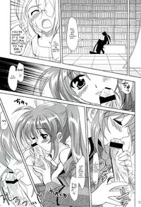 PLUM - Magical SEED Soushuuhen X [partially translated] [takehiro] (nanoha)