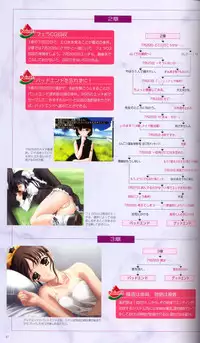 SUIKA Official Visual Fan Book