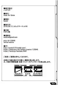 (C94) [Ando Six Gates (NandZ)] HamedoRina (Phantasy Star Online 2)