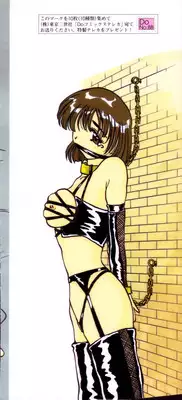 [Pegasus] Choukyou Princess