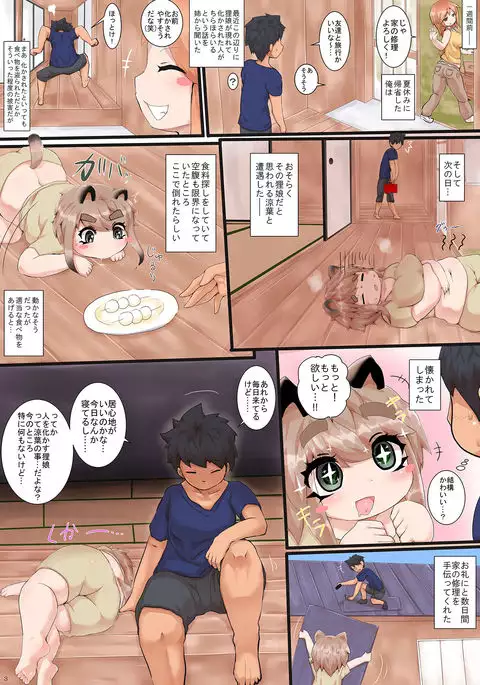 wagaya ni sumitsuita tanuki musume wo omowazu suikan shiteshimatta hanashi