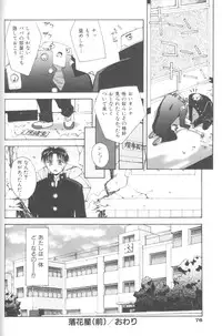 [5th Luna] Piri Piri