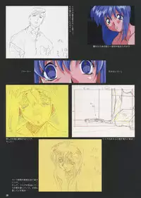 VIPER Series Official Artbook IV