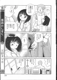 Men's Dolphin 2000-10