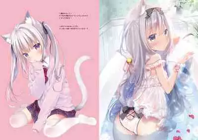 Honto wa Ecchi nan desu yo...? 2.5