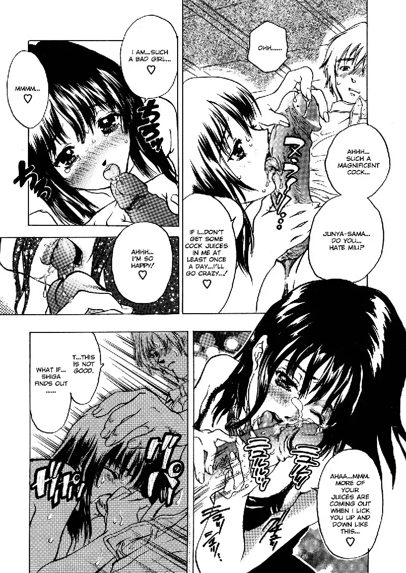 Extract 4 - Pet Diaries