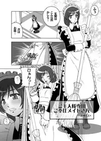 [Wire Frame Rifles] Goshujin-sama Senyou Gohoushi Maid-san