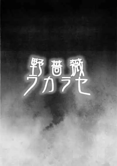 Nobara Wakarase | Nobara Correction