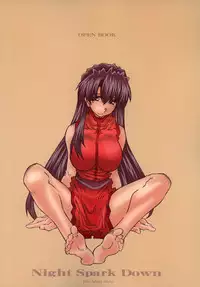 [OPEN BOOK (Toumi Haruka)] Night Spark Down (Scrapped Princess)