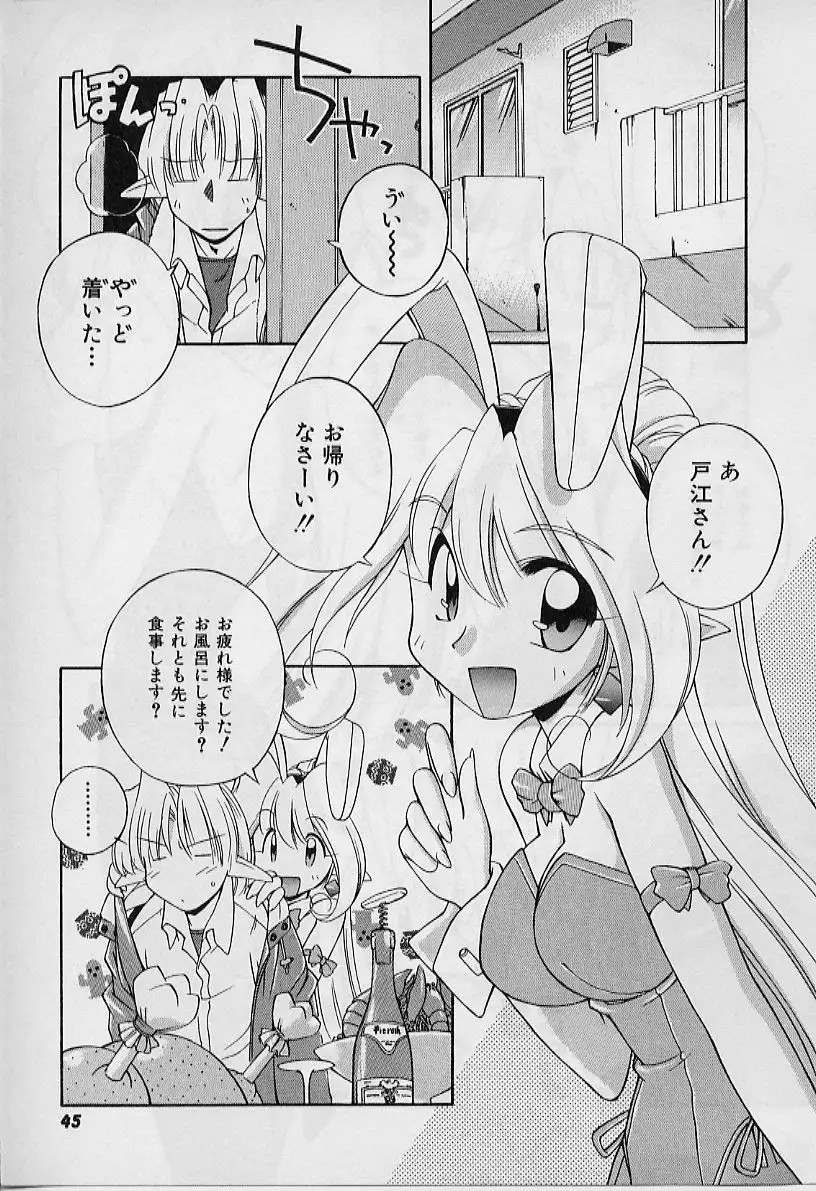 Saint Demonish Night