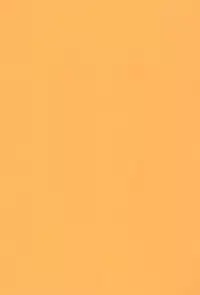 (C78) [Neko Neko House (Yokuran)] Touhou Nekomimi Monogatari (Touhou Project)