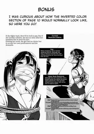 Bishoujo Hobaku Hon | Kidnapping a Beautiful Girl: The Book