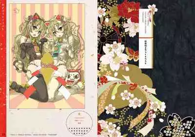 Tincle Twinkle Festival! Visual fan book "TINFESTAR!!"