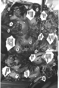 [Bitch☆Goigostar] Kumon Shiki Kairakubin Onna [Chinese]