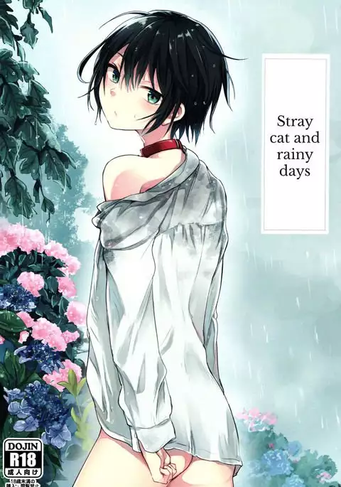 Nora Neko to Rainy Days {Shotachan}
