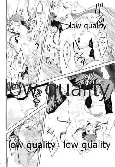 (SUPER26) [Muri Yari (Gibachi)] Hikari no Zou (Fate/stay night)