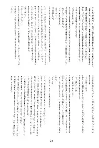 [Ashanti] RABBIT CARNIUAI (Dirty Pair)